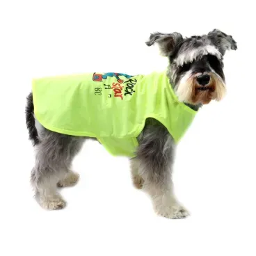 6-camiseta-rock-star-amarela-bichinho-chic