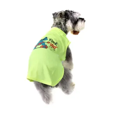 7-camiseta-rock-star-amarela-bichinho-chic