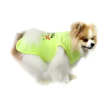 8-camiseta-rock-star-amarela-bichinho-chic