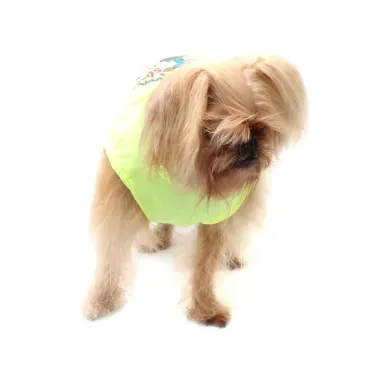 3-camiseta-rock-star-amarela-bichinho-chic