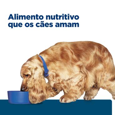 Racao-Umida-Hill-s-Prescription-Diet-Z-D-Caes-Adultos-Alergias-Alimentares-e-da-Pele-370-g-foto-de-cachorro-se-alimentando-com-a-racao