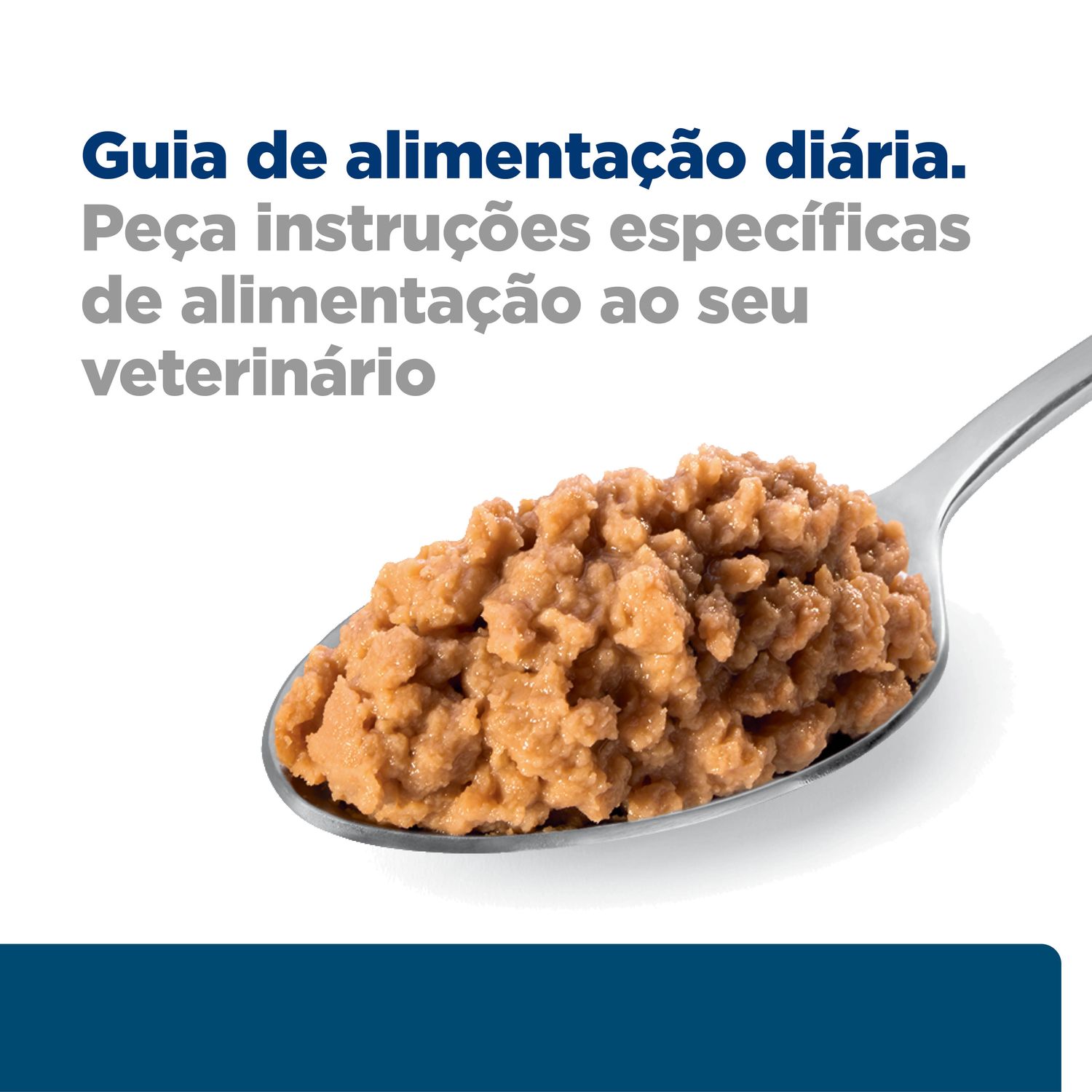Racao-Umida-Hill-s-Prescription-Diet-Z-D-Caes-Adultos-Alergias-Alimentares-e-da-Pele-370-g-foto-do-produto-fora-da-embalagem-em-uma-colher