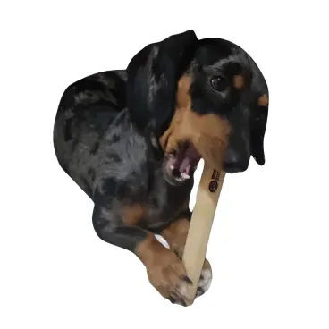 5-Brinquedo Mordedor Sustentavel Wood Amicus PQ