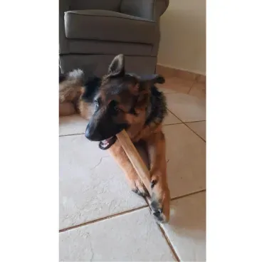 6-Brinquedo Mordedor Sustentavel Wood Amicus GD