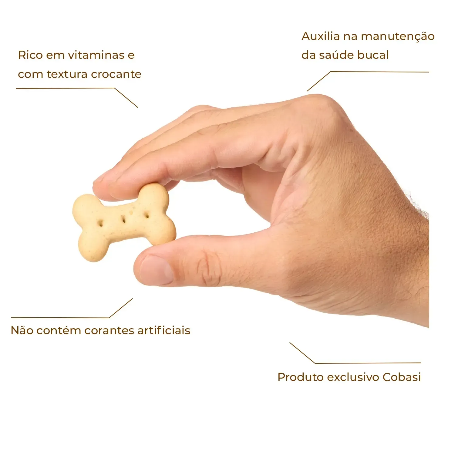 Biscoito Joy Cook Original para Cães Big