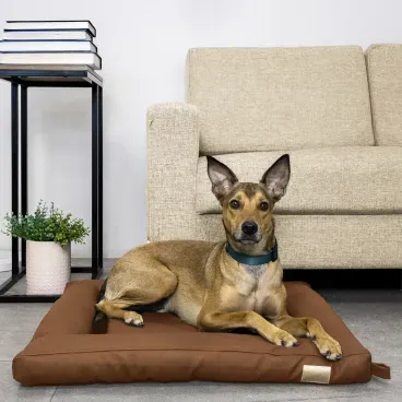 Pet-medio-deitado-na-Cama-Flat-Cordoba-Fabrica-Pet-Marrom