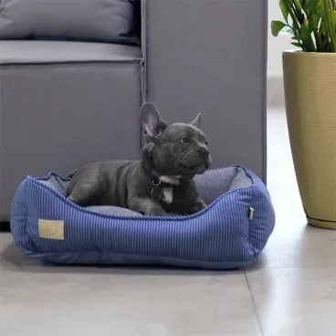 Pet-de-pequeno-porte-deitado-na-Cama-Home-para-Caes-e-Gatos-Fabrica-Pet-Azul