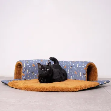 Gato-deitado-no-Tunel-Kitty-Cat-Fabrica-Pet-Caramelo