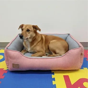 Cachorro-de-porte-medio-deitado-na-Cama-Home-para-Caes-e-Gatos-Fabrica-Pet-Rosa