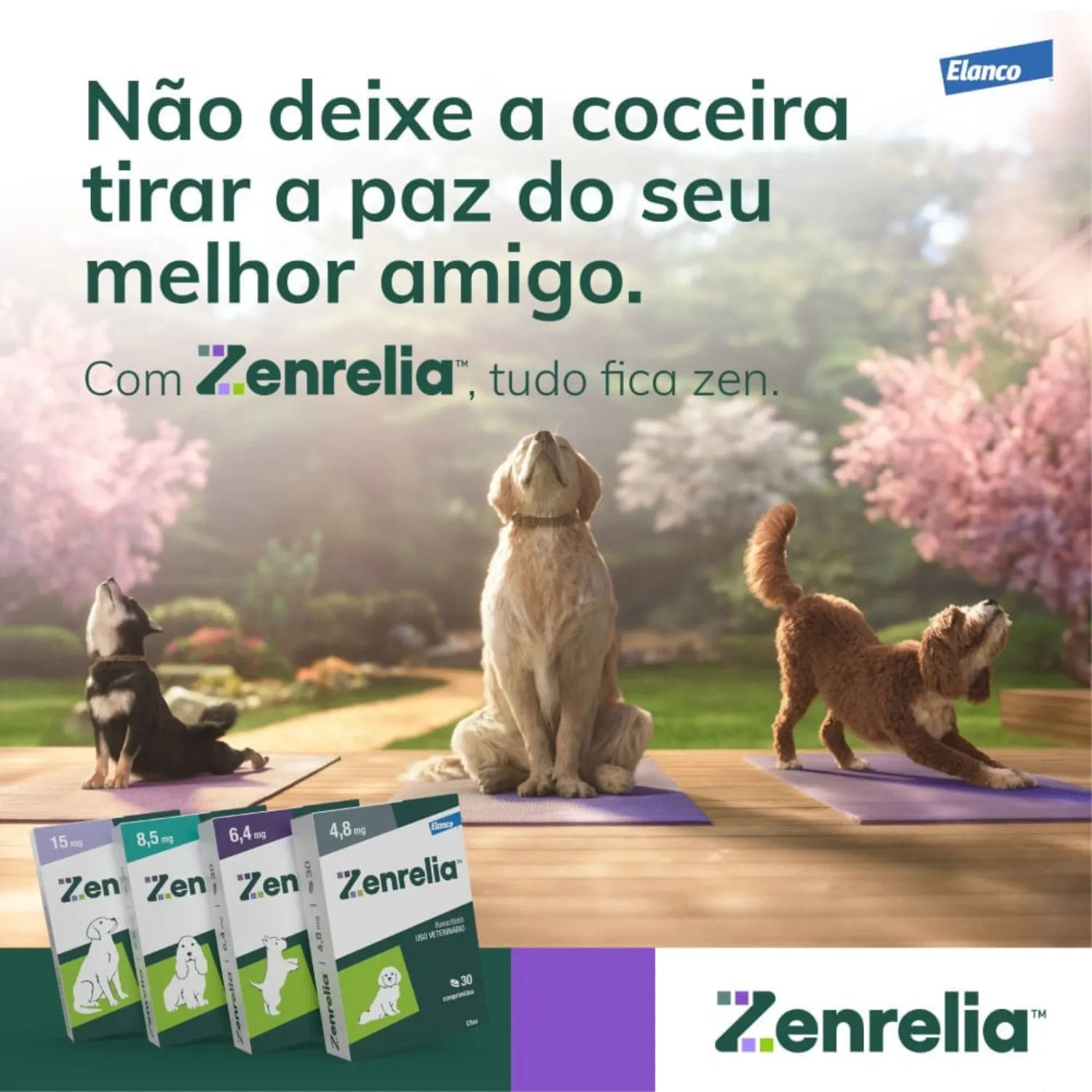 Zenrelia 8,5mg Tratamento para Coceira em Cães