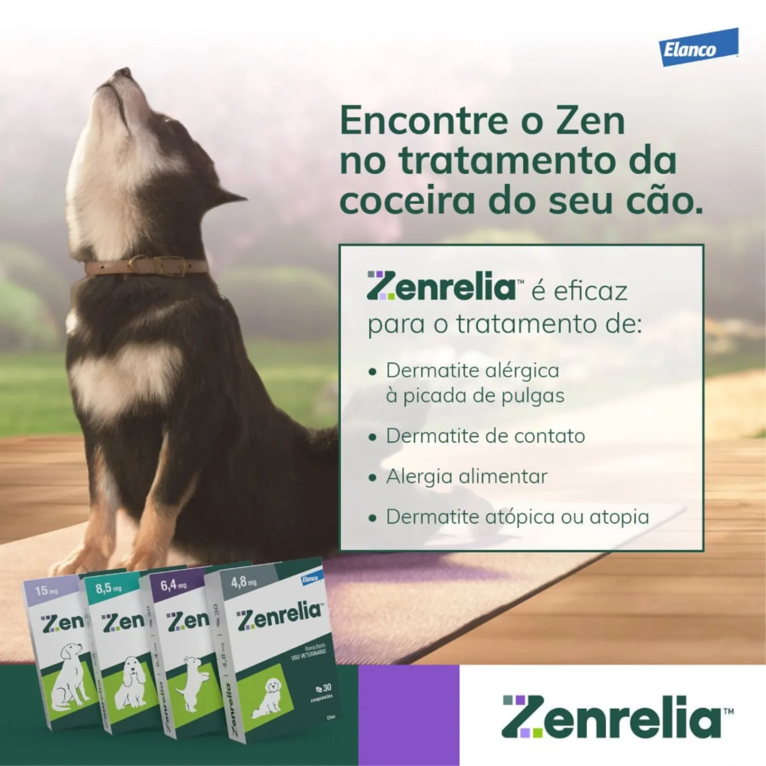 Zenrelia 8,5mg Tratamento para Coceira em Cães