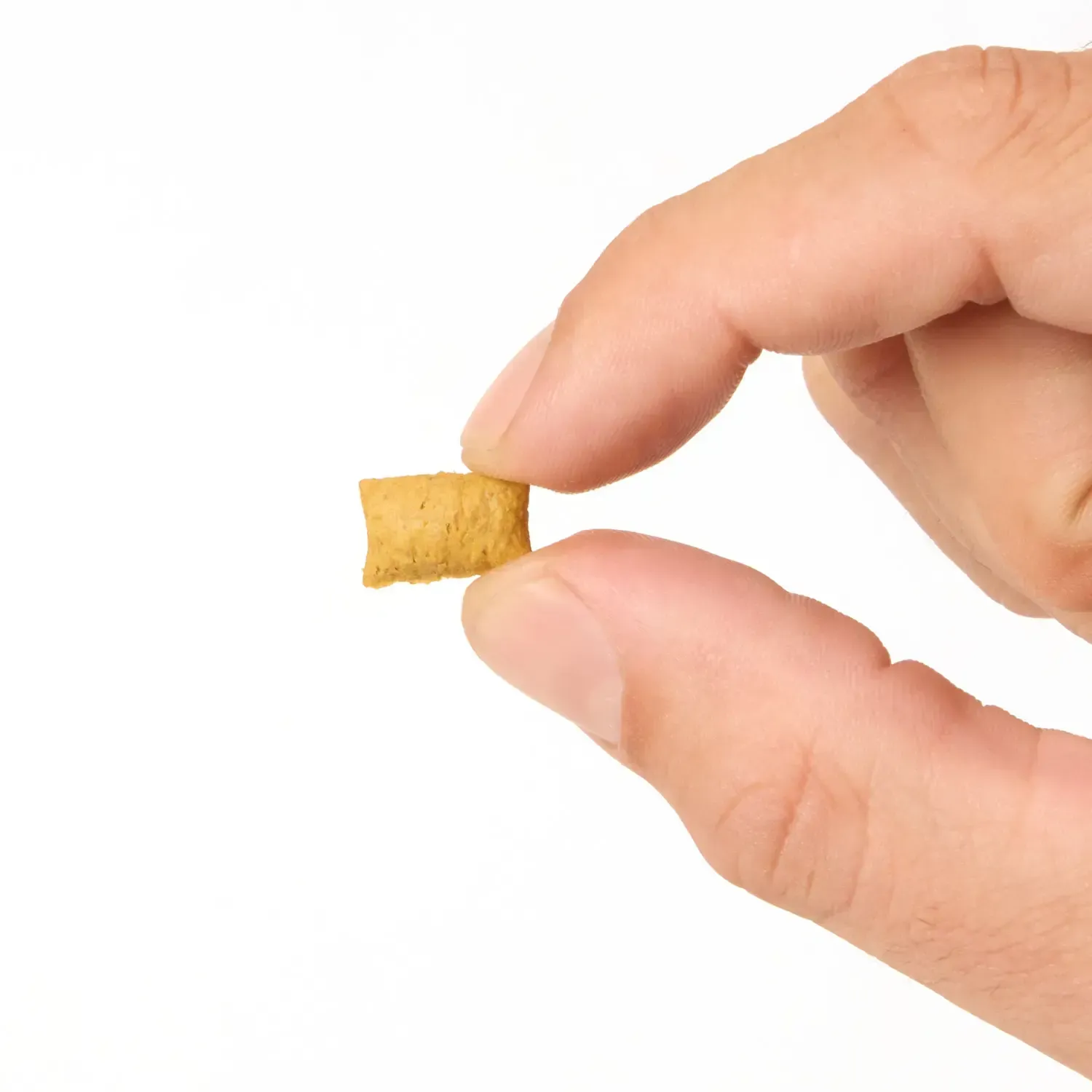 Petisco Joy Snacks para Gatos Adultos Queijo