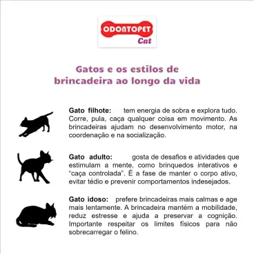 5-Bola com Guizo e Catnip Odontopet Cat