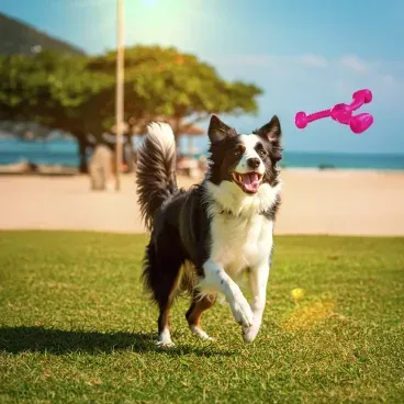 Pet-de-grande-porte-brincando-com-o-Brinquedo-Mordedor-Rokka-Stark-Pet-Rosa