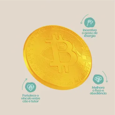 Beneficios-do-Brinquedo-Fresbee-Bitcoin-Stark-Pet-Amarelo