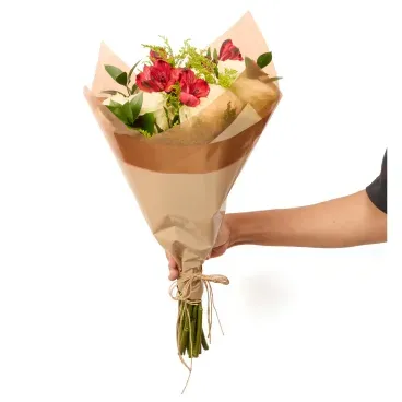 2-Buque Amsterdam Natural Timlog