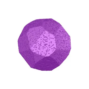 Brinquedo Bola Maciça Rocky Ball Stark Pet Roxo