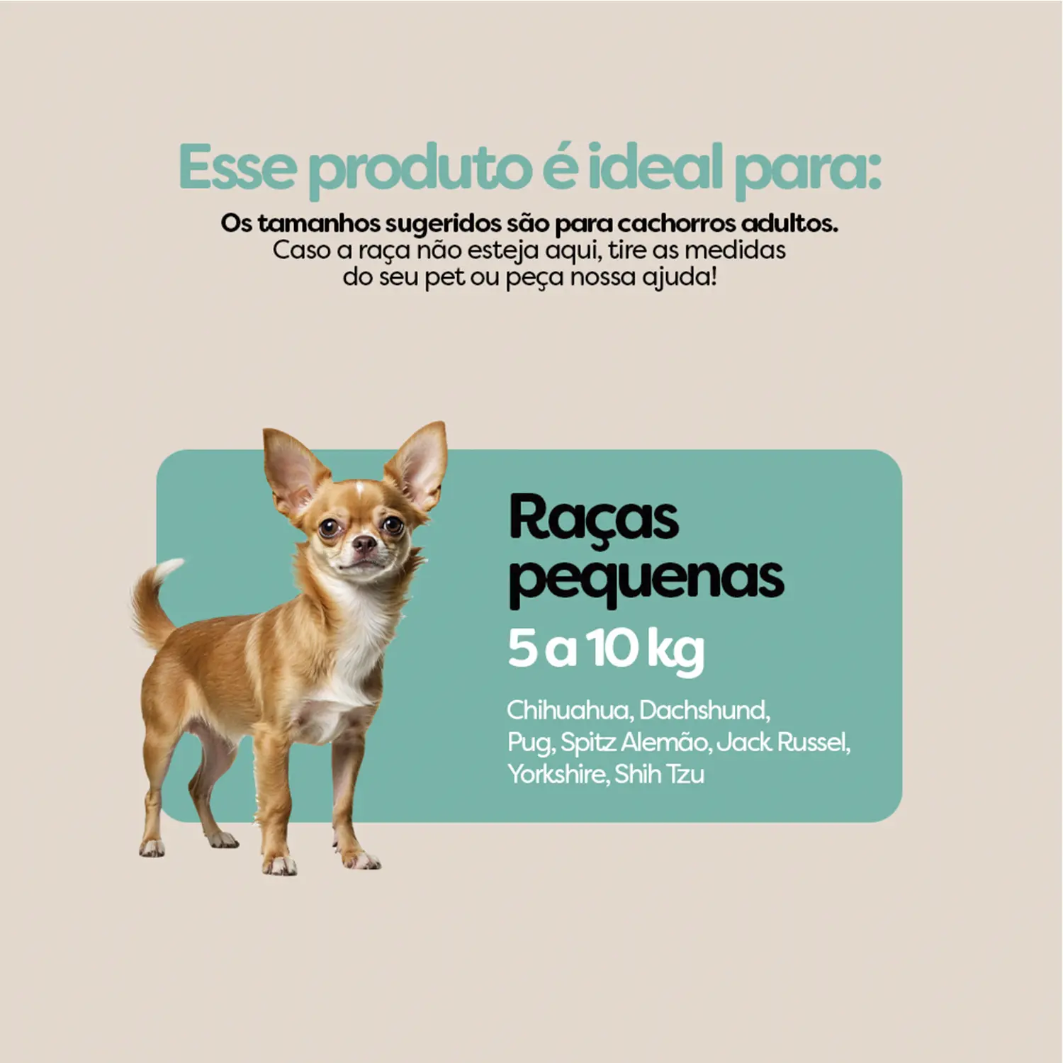 Brinquedo Bola Maciça Slim Ball Stark Pet Roxo