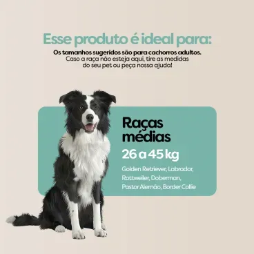 Banner-de-produto-ideal-para-racas-Medias-de-26-a-45-kg-