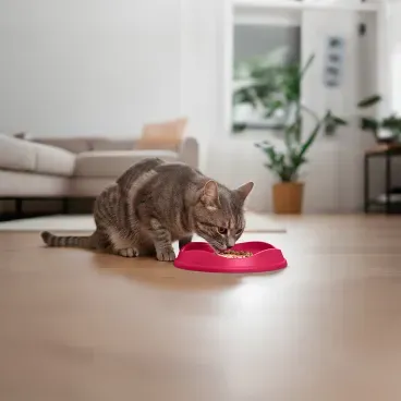 Gato-comendo-no-Comedouro-Raso-para-Gatos-Stark-Pet-Magenta