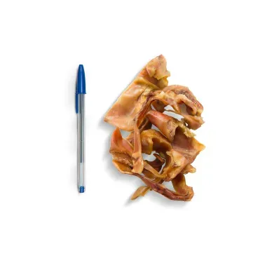 Petisco-Mastigue-tamanho-comparado-a-uma-caneta