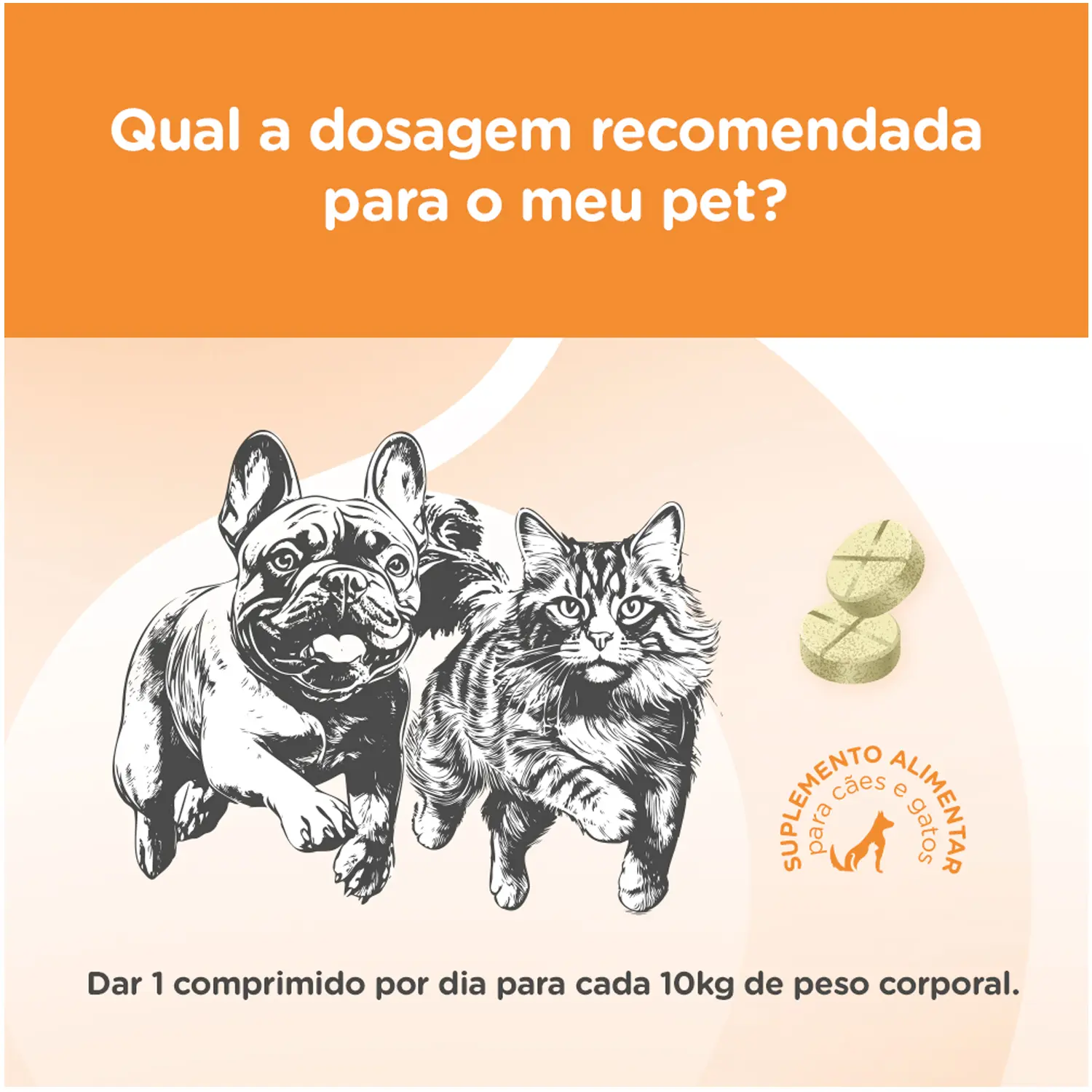 Suplemento Alimentar Soft Care Nutri Mobility Collagen