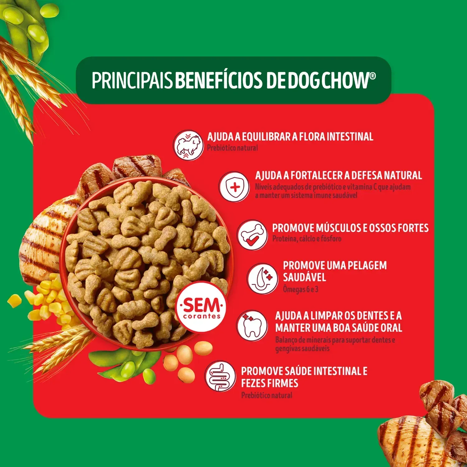Ração Dog Chow Cães Adultos Médios e Grandes Carne, Frango e Arroz