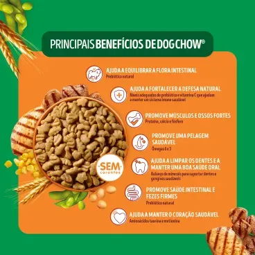 Principais-beneficios-da-Racao-Dog-Chow-Caes-Adultos-Minis-e-Pequenos-Carne-Frango-e-Arroz-