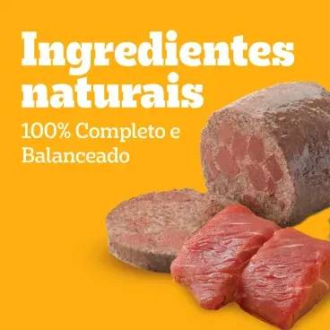 6_Racao Umida Pedigree Pate de Carne