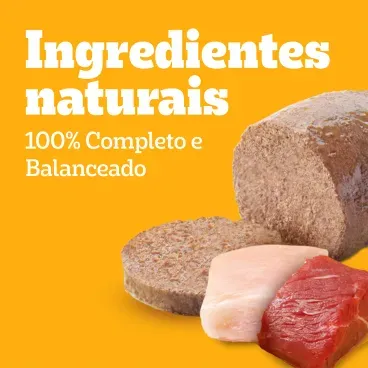 4_Racao Umida Pedigree Caes Filhotes Pate de Carne e Frango