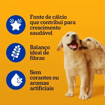 3_Racao Umida Pedigree Sache Caes Filhotes Carne ao Molho