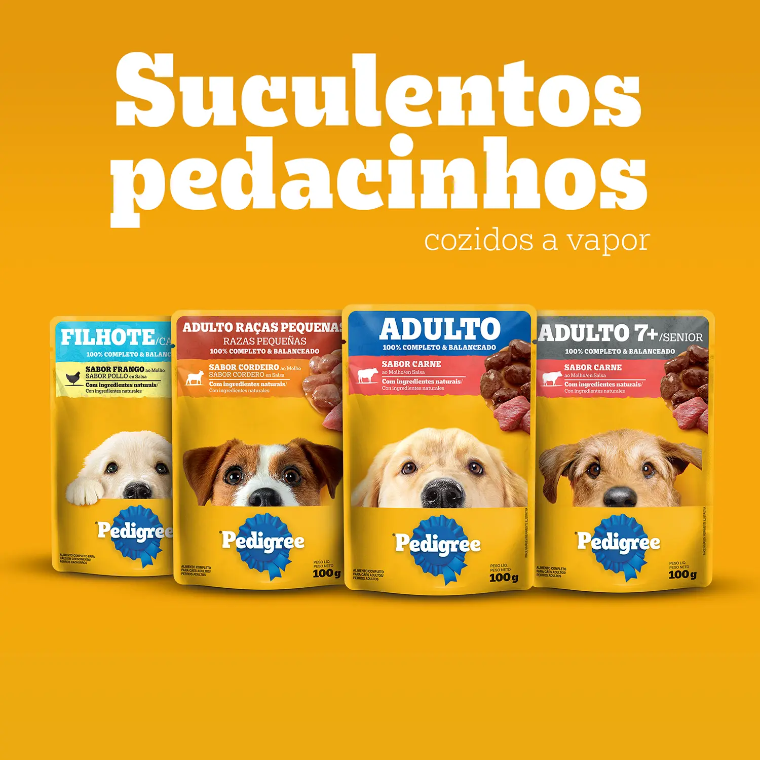 7_Racao Umida Pedigree Sache Caes Filhotes Frango ao Molho