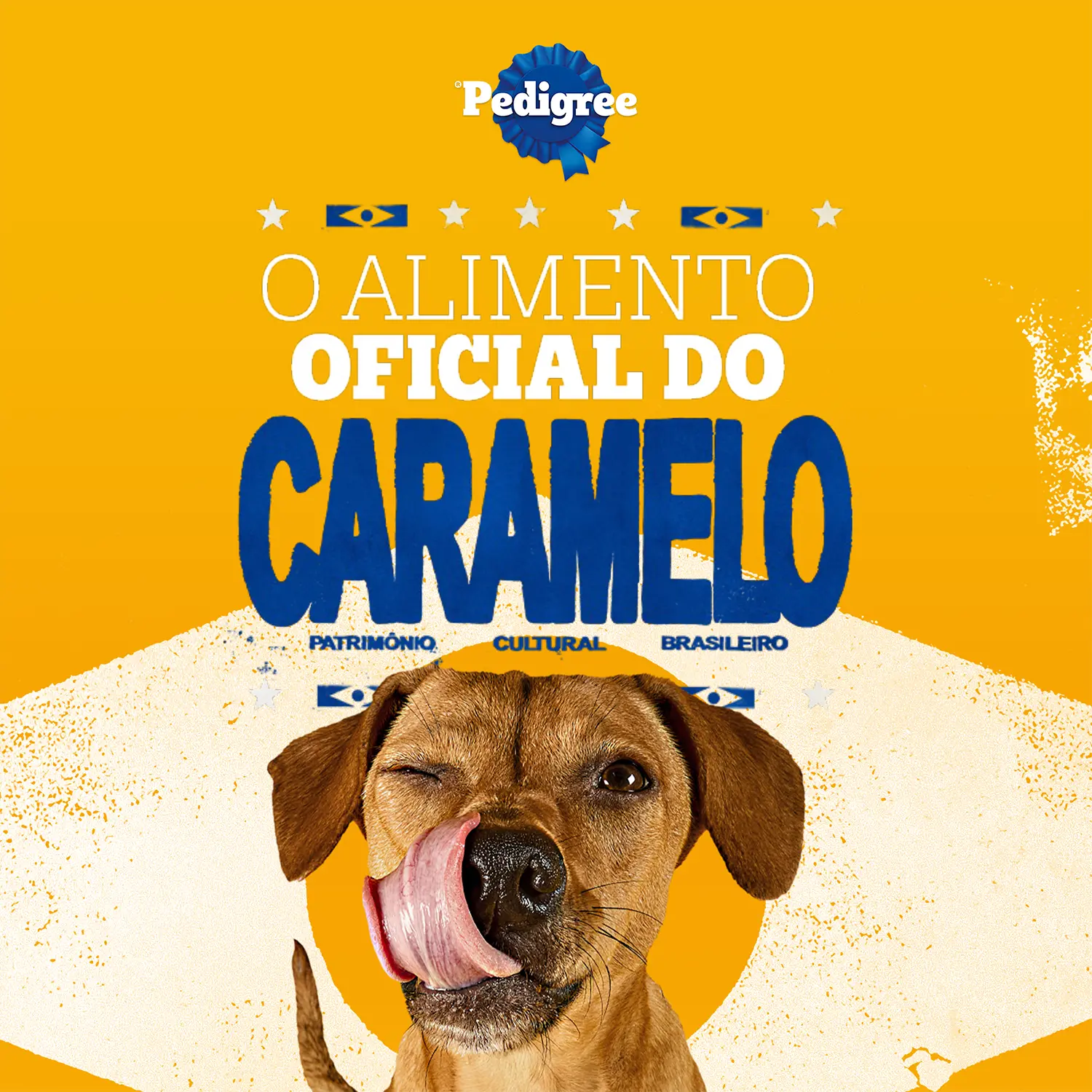 7_Racao Pedigree Nutri Essencial Caes Adultos Carne