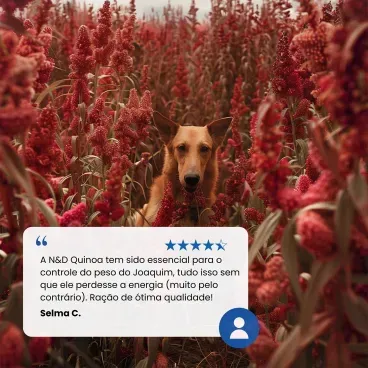 10-Racao N-D Quinoa Controle de Peso Caes Ad Mini Cordeiro