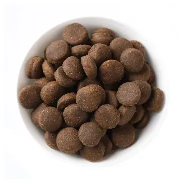 3-Racao N-D Quinoa Cuidado Digestivo Caes Adultos Mini Cordeiro