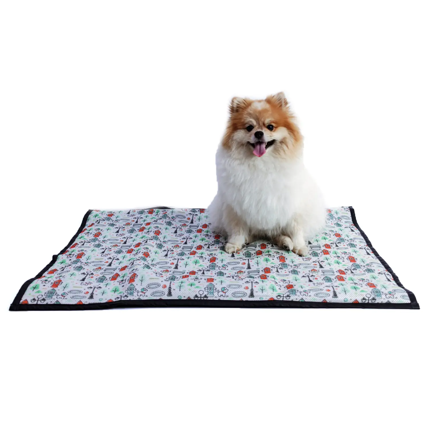 5-Tapete-Higienico-Lavavel-Modernpet