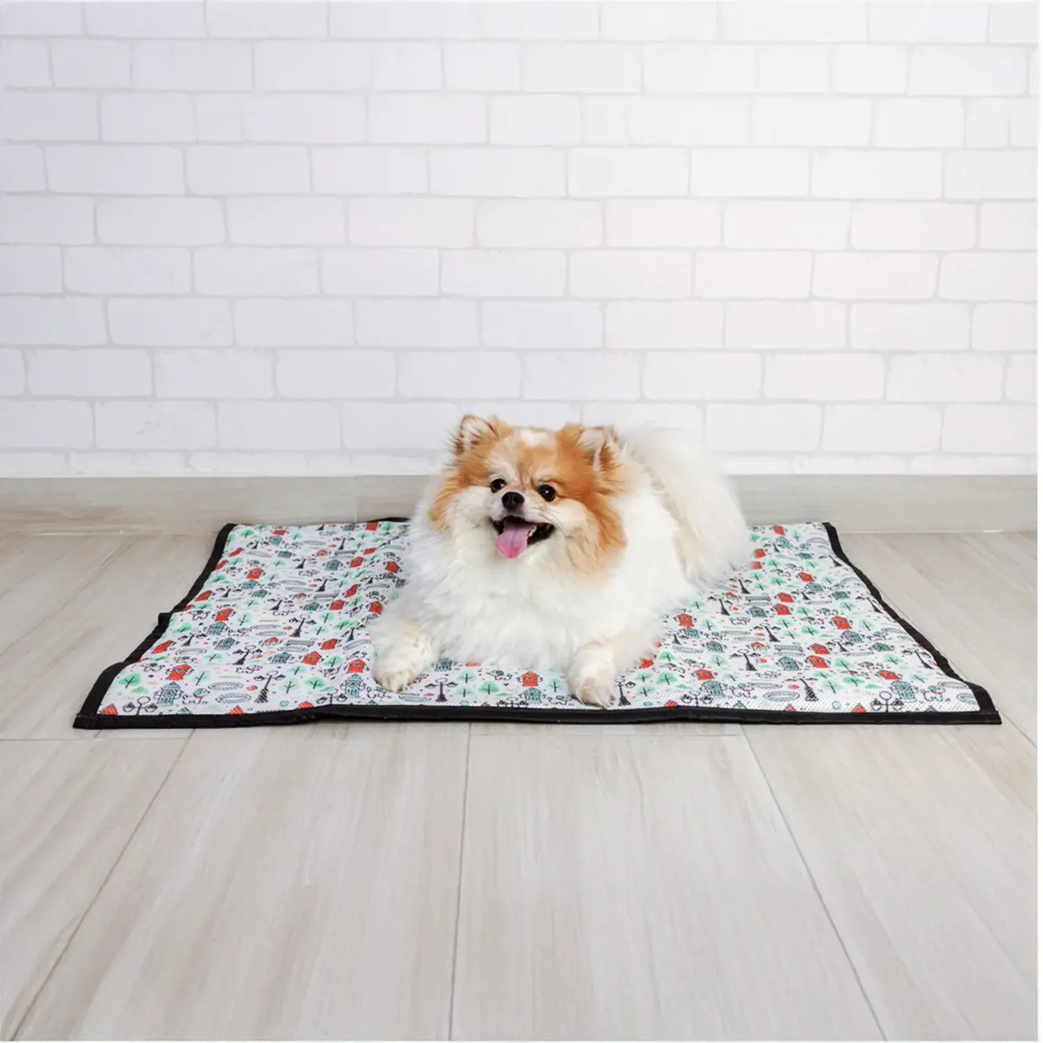 6-Tapete-Higienico-Lavavel-Modernpet