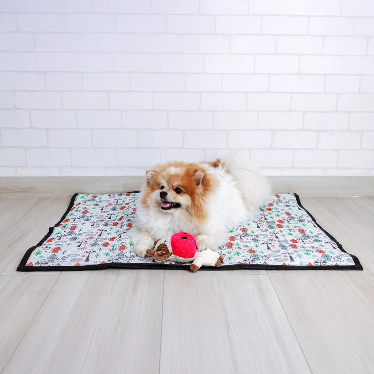 4-Tapete-Higienico-Lavavel-Modernpet