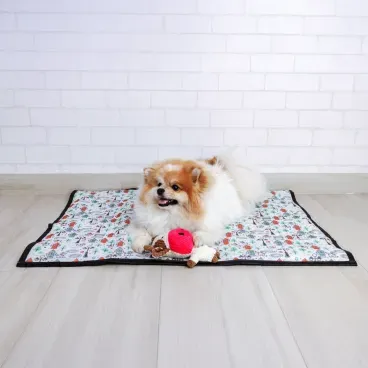 4-Tapete-Higienico-Lavavel-Modernpet