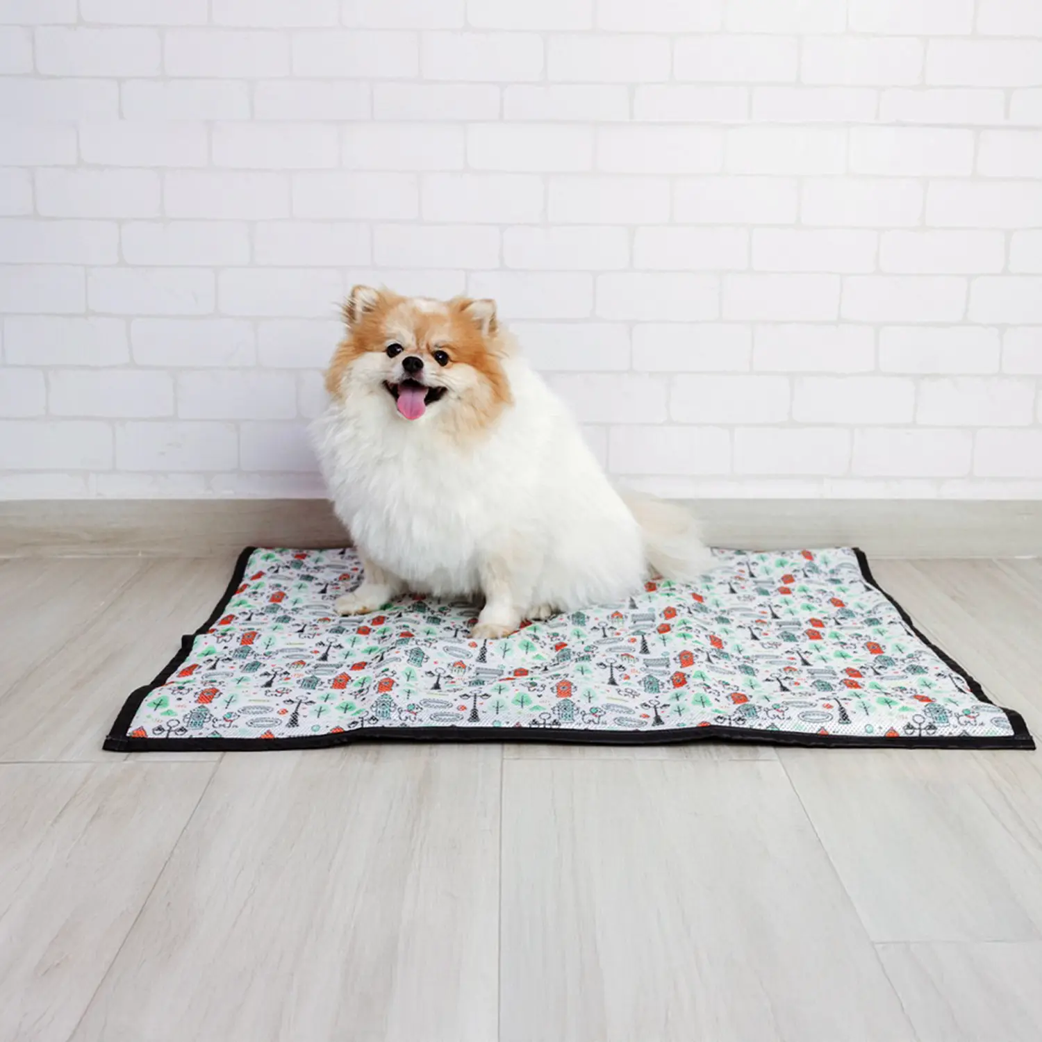 3-Tapete-Higienico-Lavavel-Modernpet