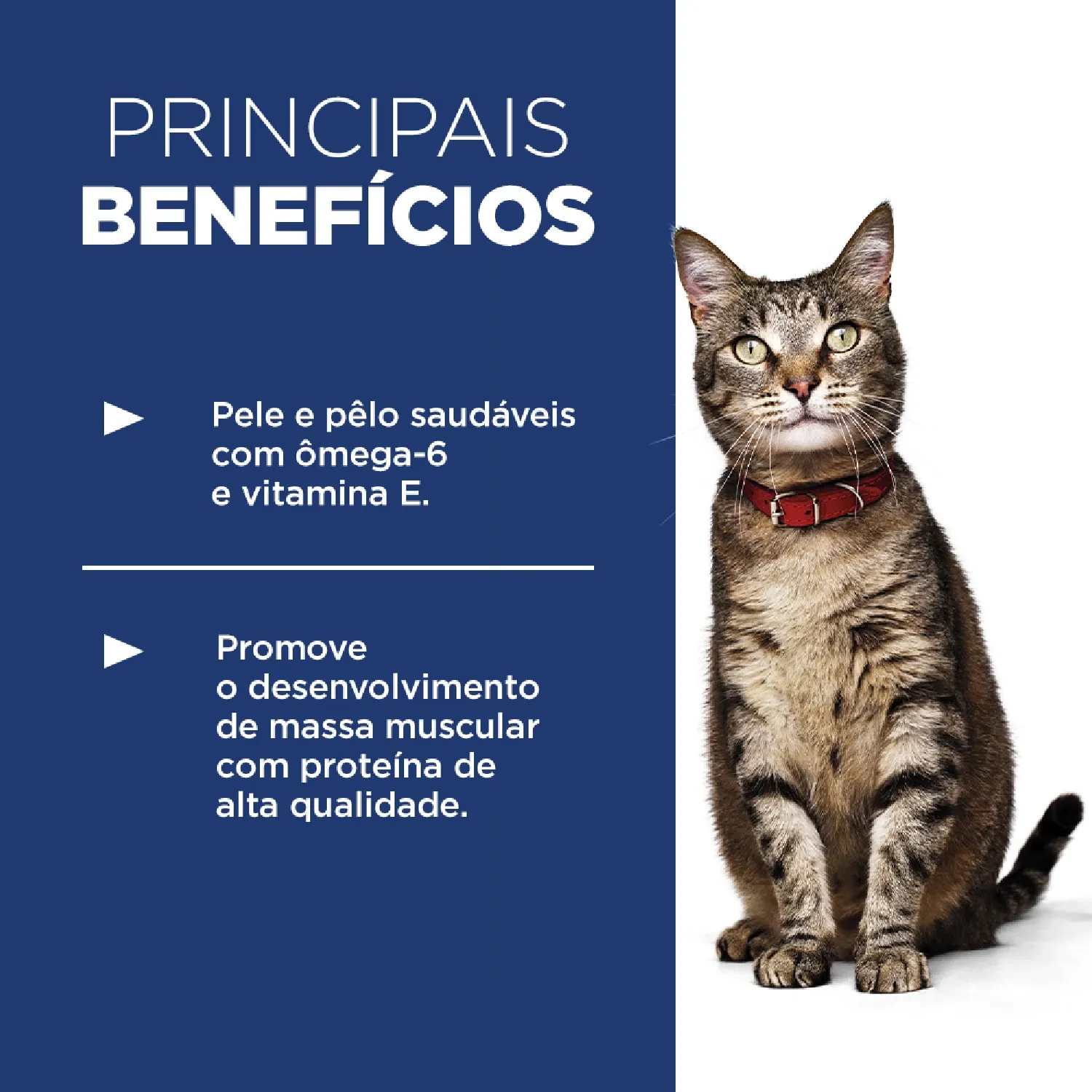 Ração Hill's Science Diet para Gatos Adultos Sabor Frango