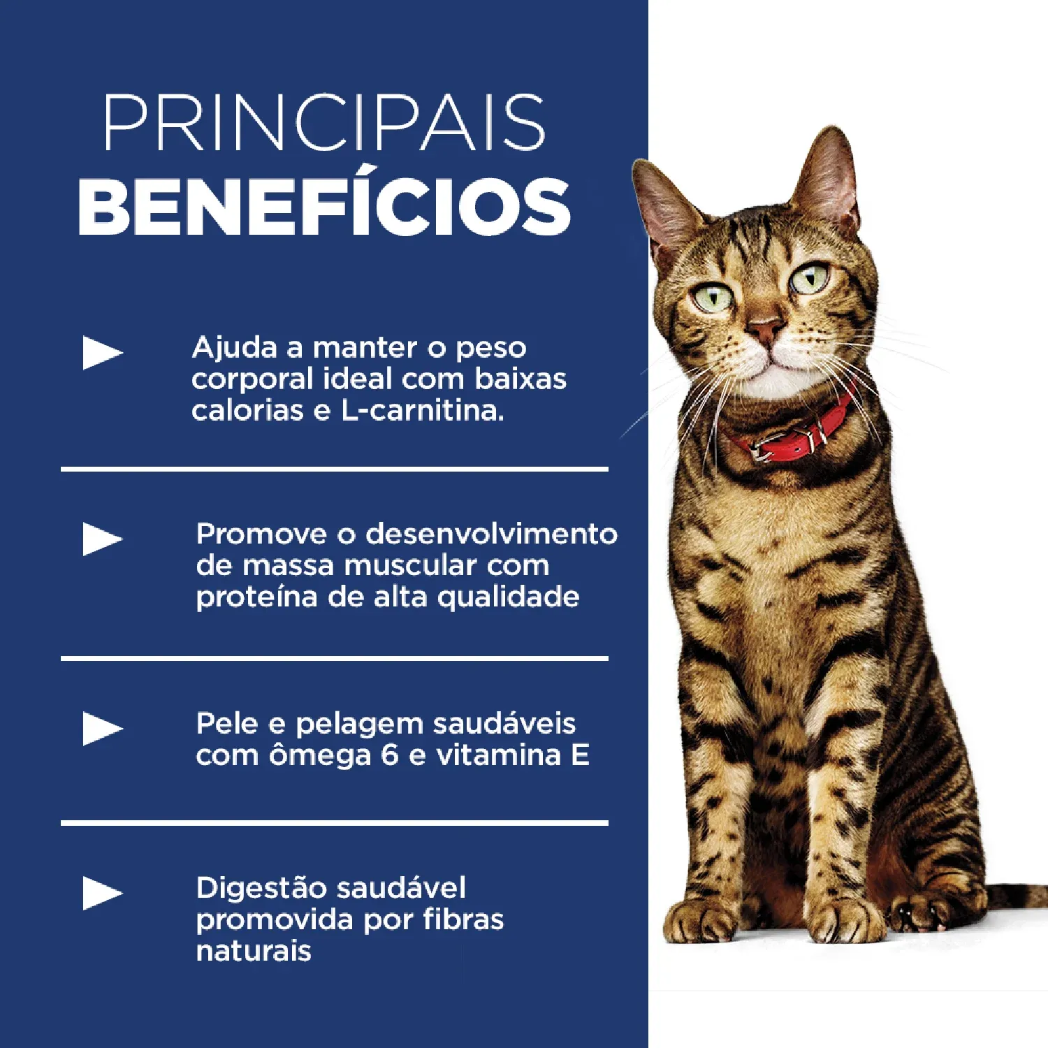 Ração Hill's Science Diet Light com Baixas Calorias Gatos Adultos Sabor Frango