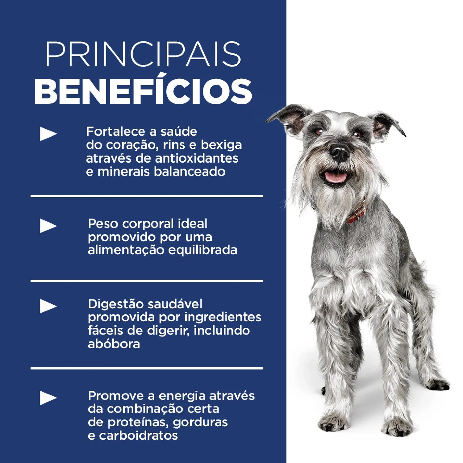 Ração Hill's Science Diet Adulto 7+ para Cães Idosos Pequenos e Mini Sabor Frango