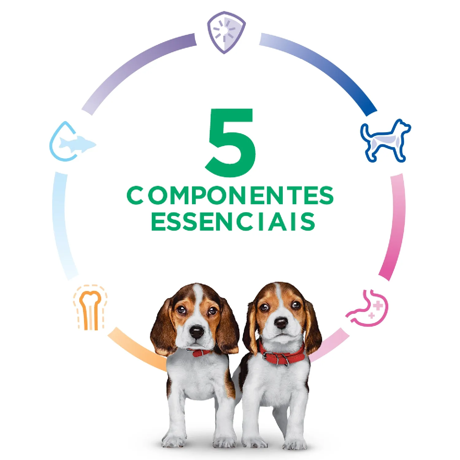 Ração Hill's Science Diet Pedaços Pequenos Cães Filhotes Sabor Frango