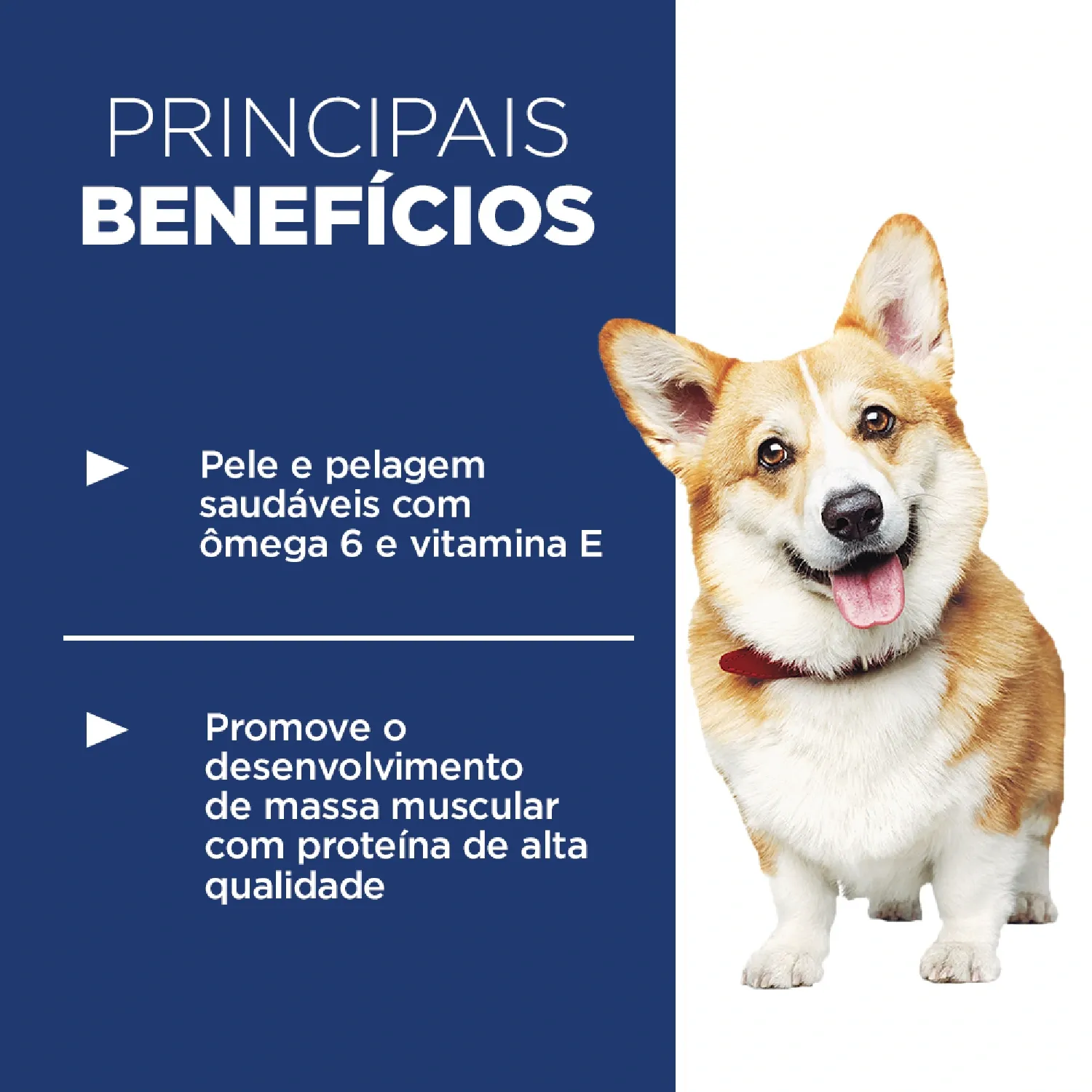 Ração Hill's Science Diet Pedaços Pequenos Cães Adultos Sabor Frango