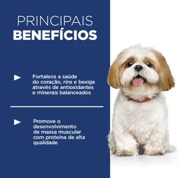 Racao-Hills-Science-Diet-Adulto-7-Mais-Pedacos-Pequenos-Caes-Idosos-beneficios