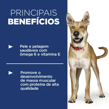 Racao-Hills-Science-Diet-Caes-Adultos-beneficios