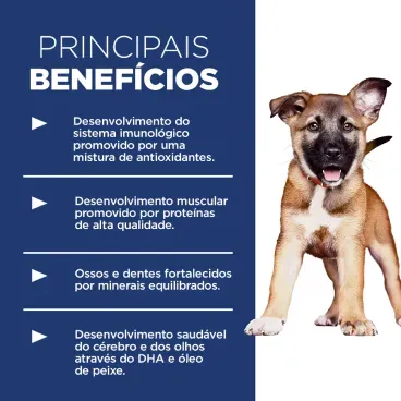 Racao-Hills-Science-Diet-Caes-Filhotes-Racas-Grandes-beneficios