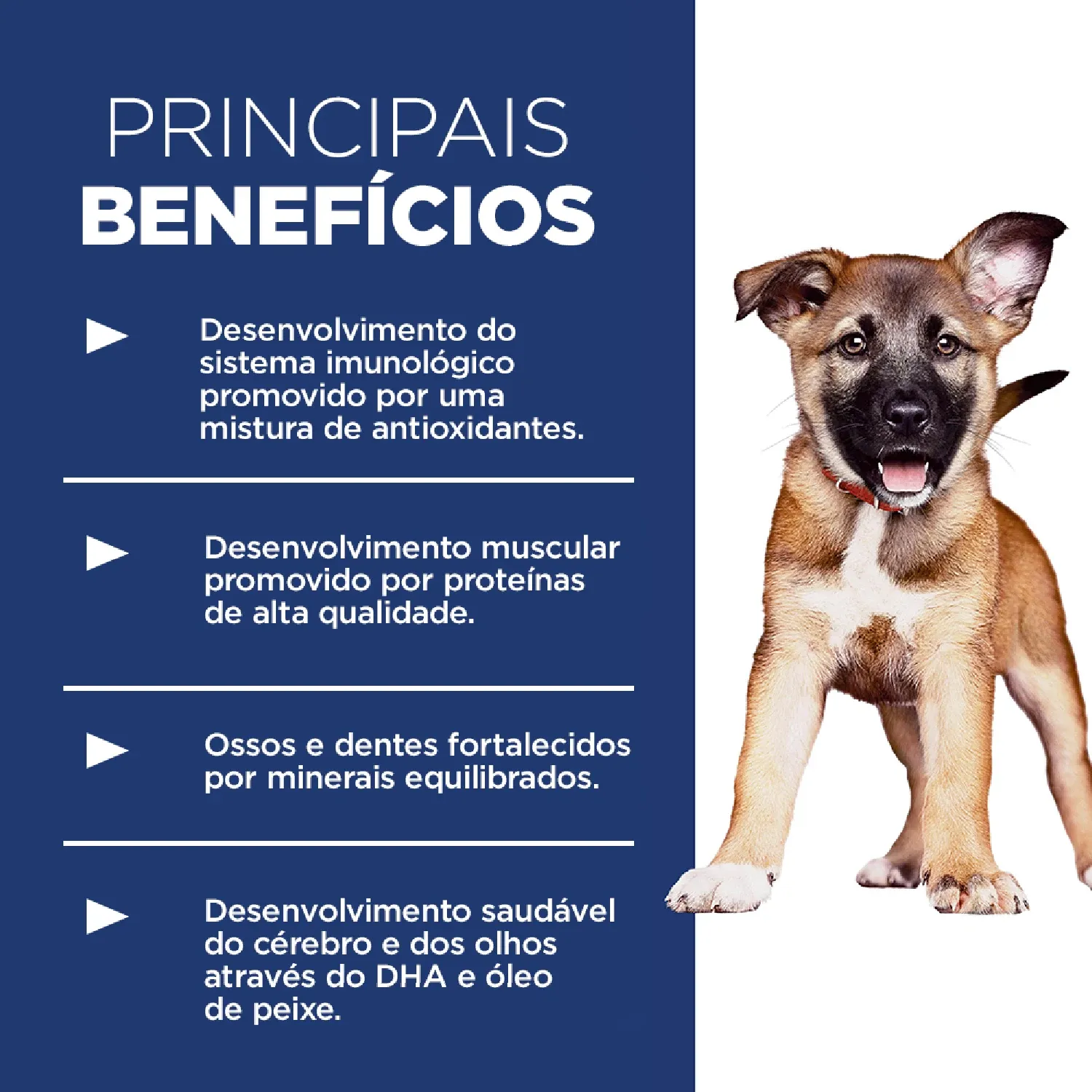 Ração Hill's Science Diet Cães Filhotes Raças Grandes Sabor Frango