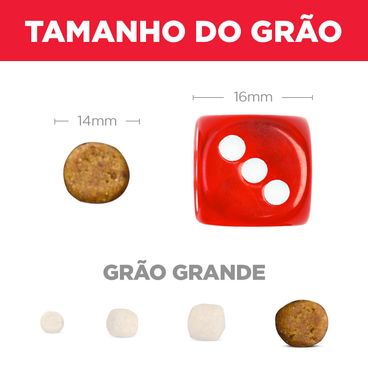 Racao-Hill-s-Caes-Filhotes-Racas-Grandes-tamanho-do-grao